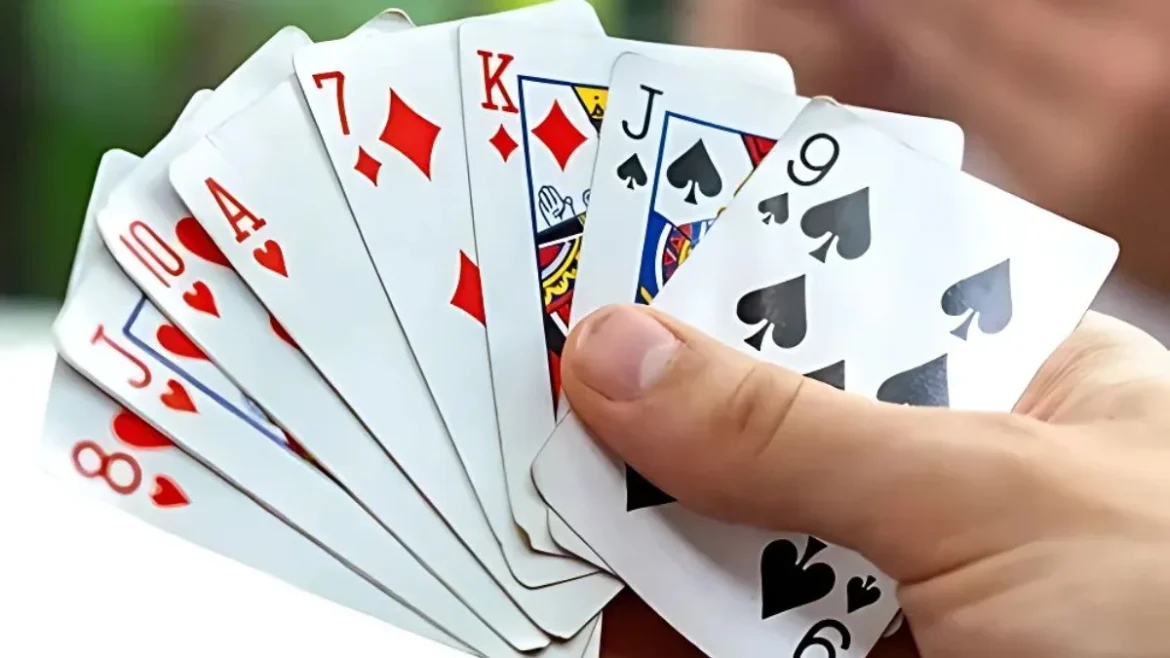 Contract Bridge: A Beginner's Guide To Playing