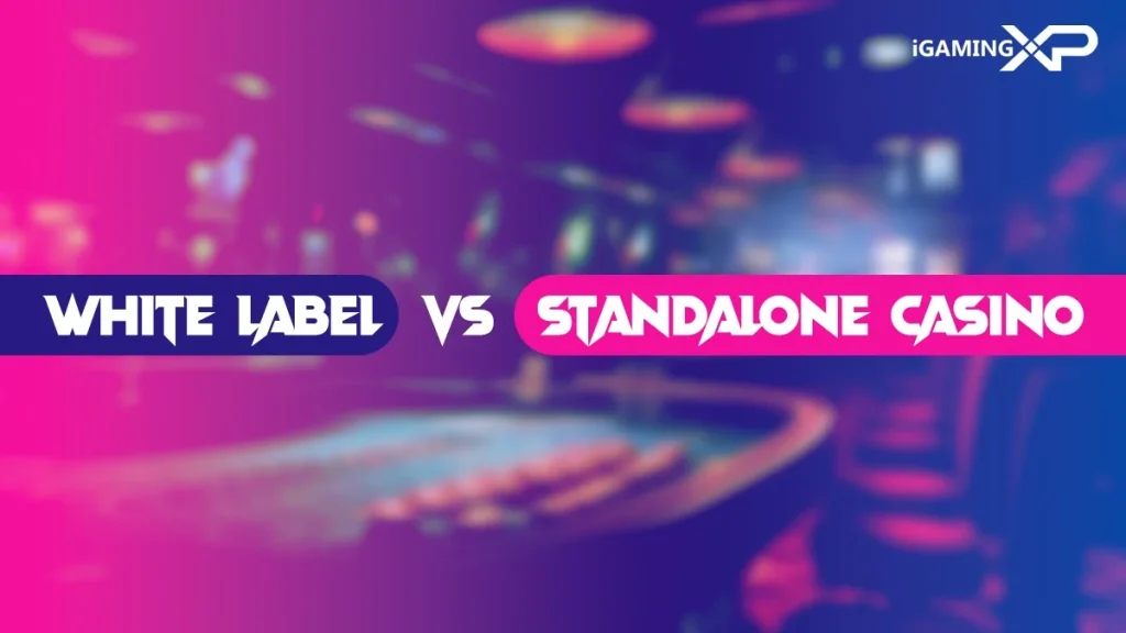 White Label vs Standalone Casino: Your Best Choice