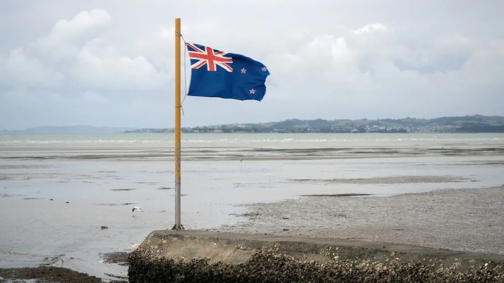 New Zealand Gambling: $81M Harm Fund's Effectiveness