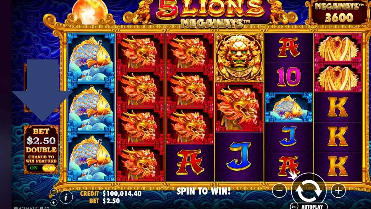 5 Lions Megaways Review: Is This Pragmatic Play’s Best?